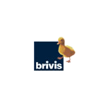 Brivis